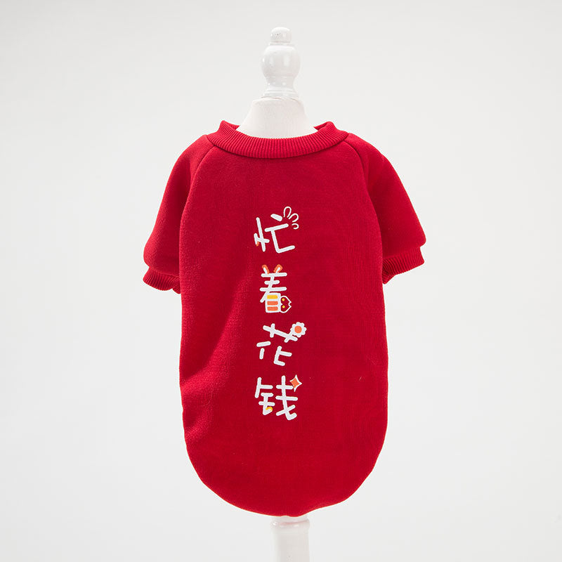 Funny Cat Clothes