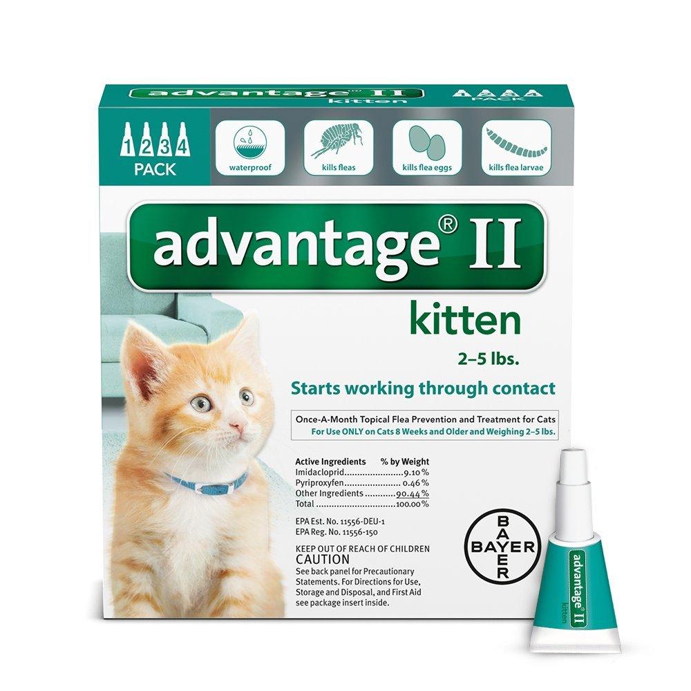 K9 Advantage II - Rocky & Maggie's Pet Boutique and Salon