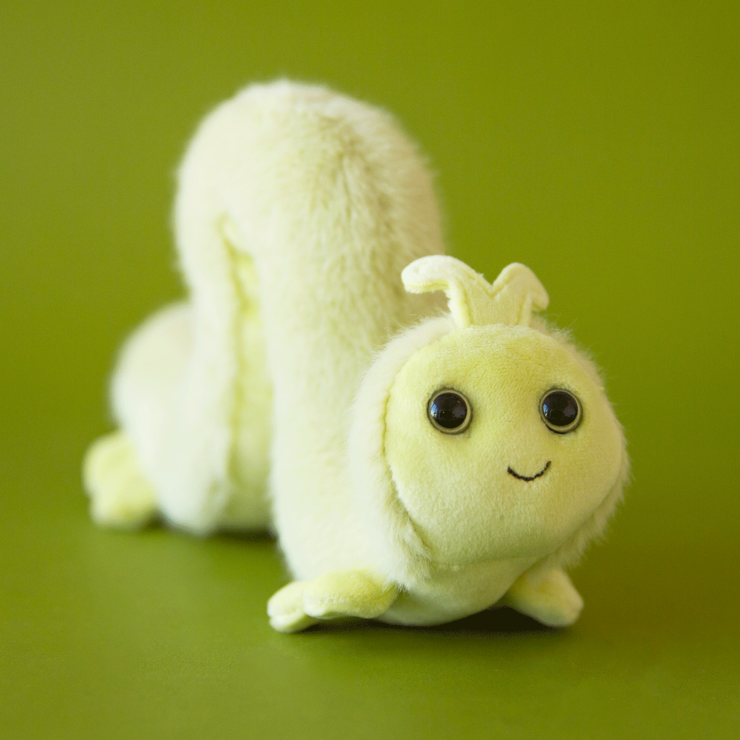 Inchy Inchworm