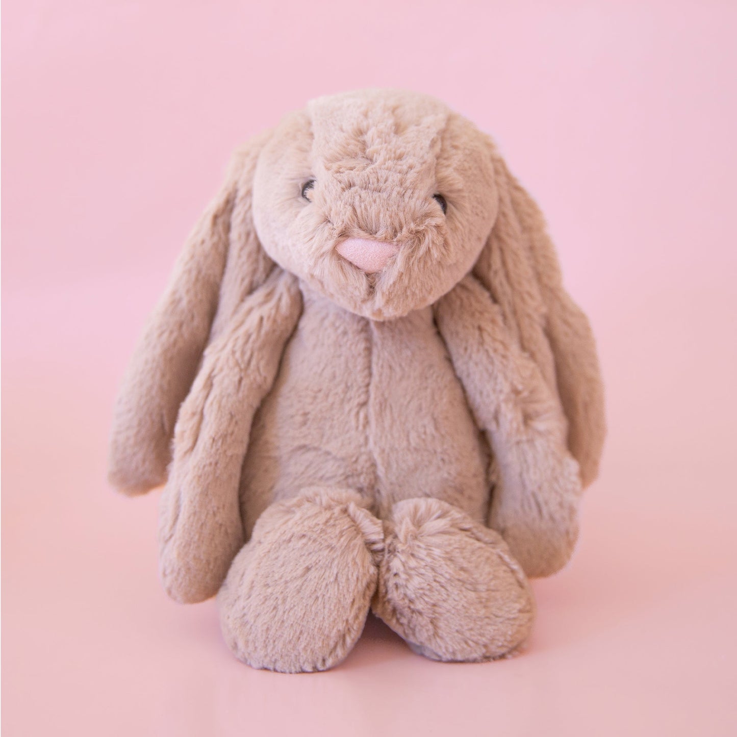 Bashful Bunny | Beige