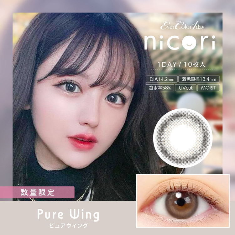EverColor 1 Day Nicori Pure Wing Contact Lenses 10 Pack