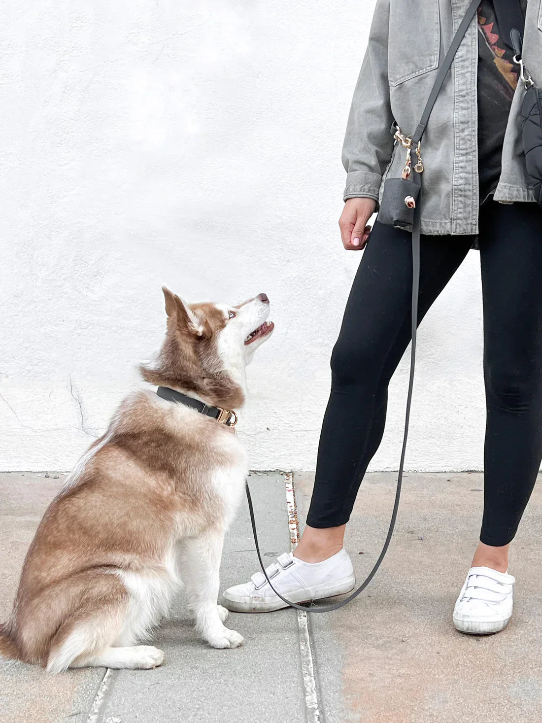 Sunny Tails Waterproof Collar - Black