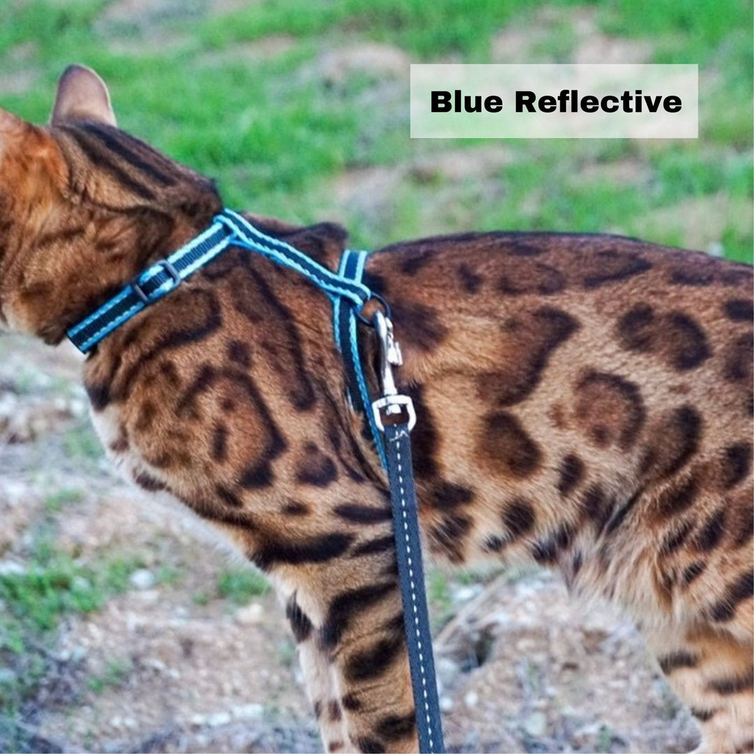 Surfer Cat Harness