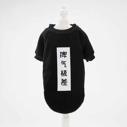 Funny Cat Clothes
