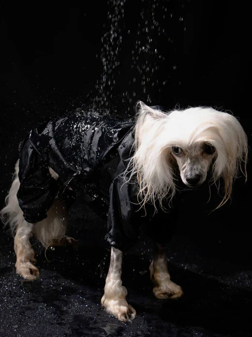 Qisu Raincoat - Black (SIZE XS LEFT)