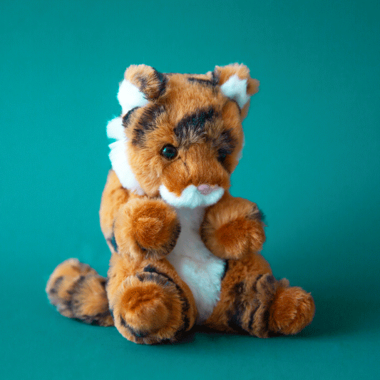 Lil' Baby Tiger