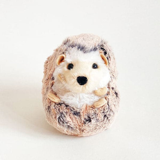 Spunky Hedgehog