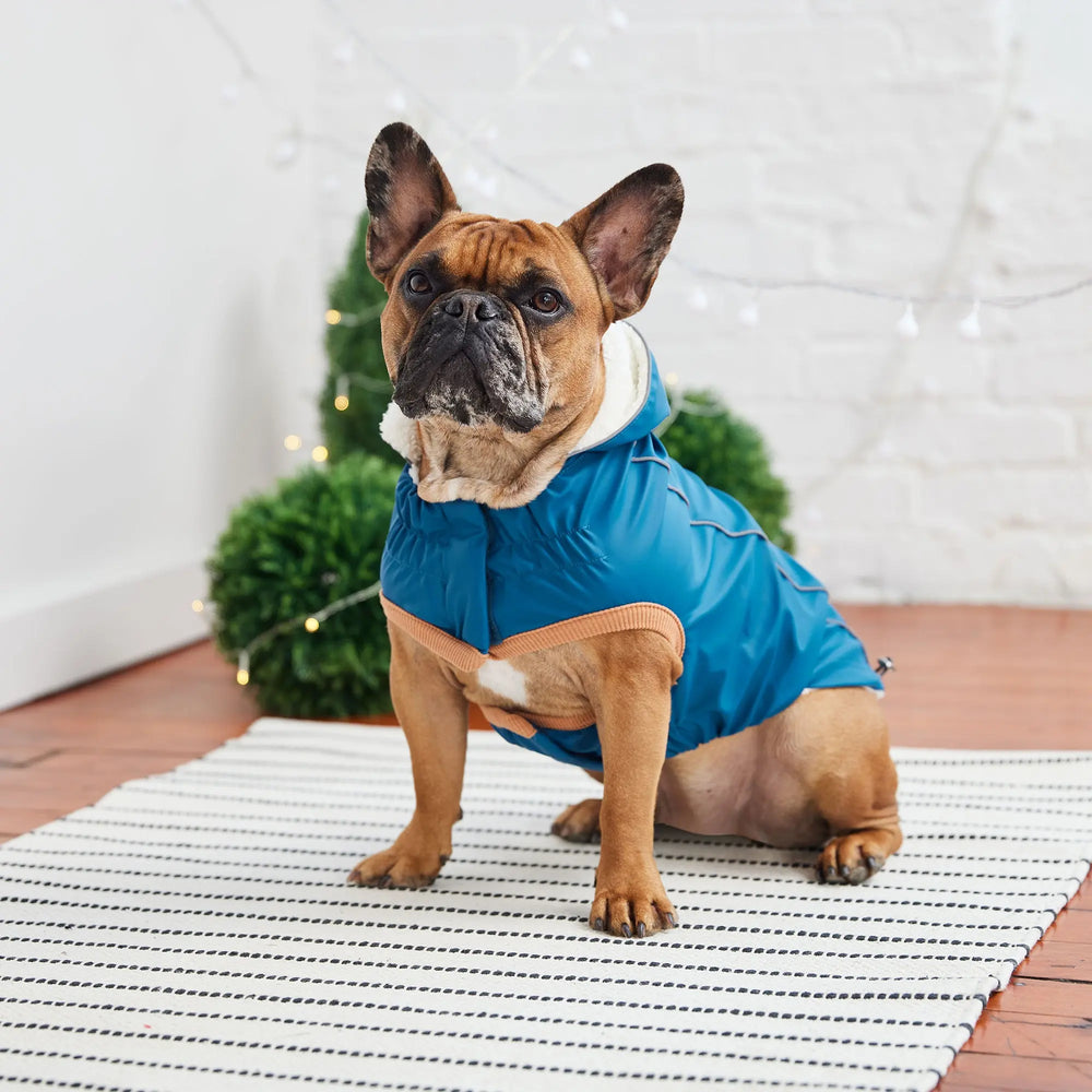 GF Pet Insulated Dog Raincoat