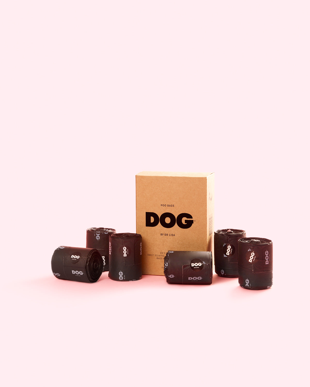 Dog Walk Set