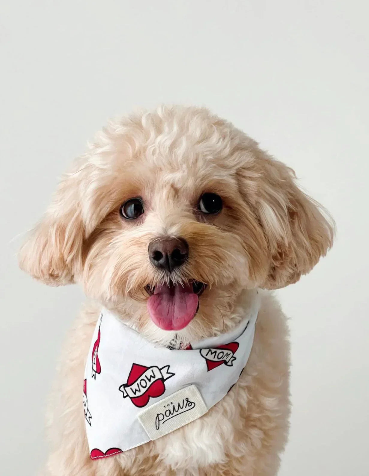 The Paws Bandana - Love Mom