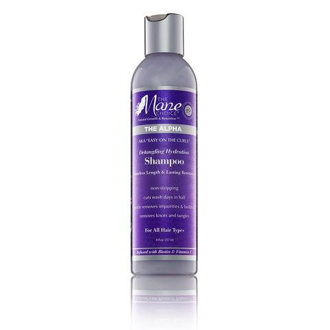 Easy on the Curls Detangling Hydration Shampoo