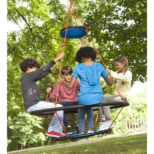 Large Vortex Outdoor Spinning Ring Swing