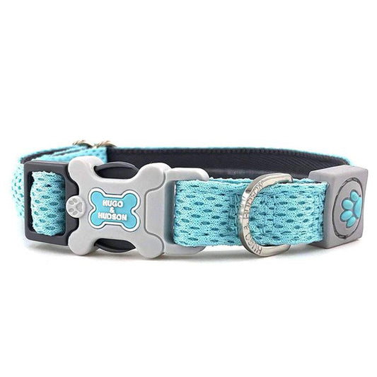 [color:aqua mesh]