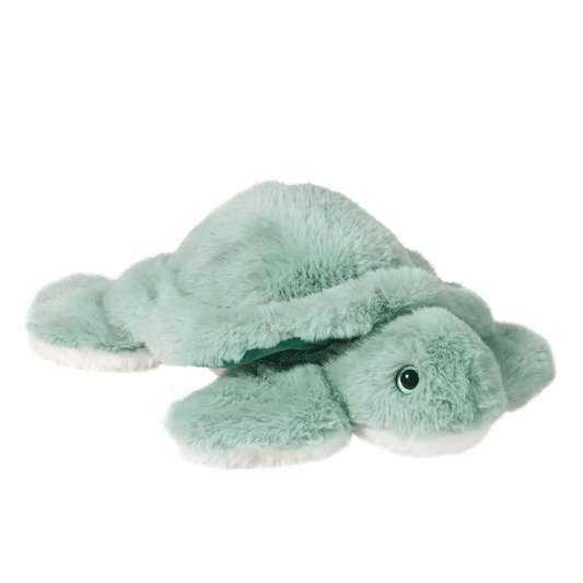 Lil' Baby Aqua Turtle