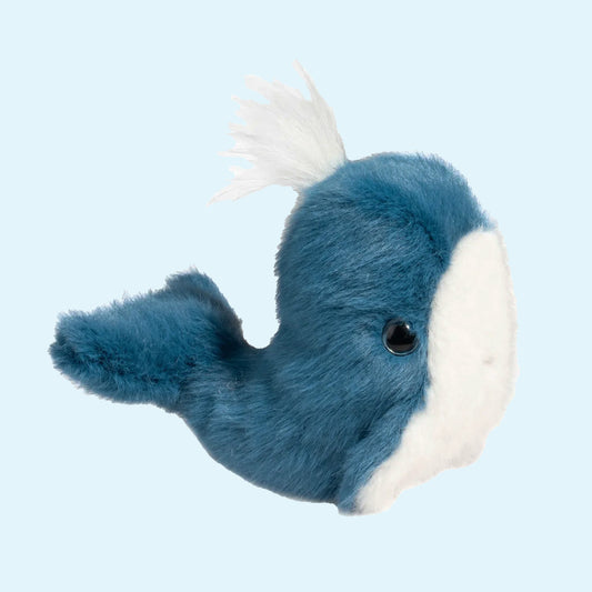Lil' Baby Whale