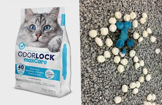 Intersand MaxCare Litter 12kg