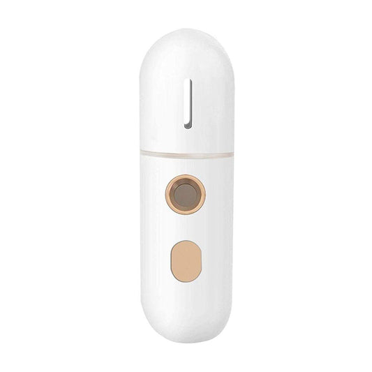Portable Mini Face Steamer